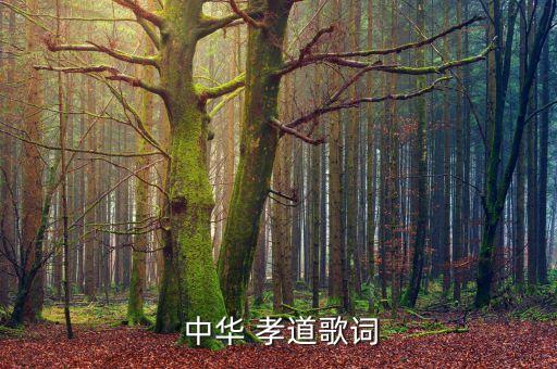  中华 孝道歌词