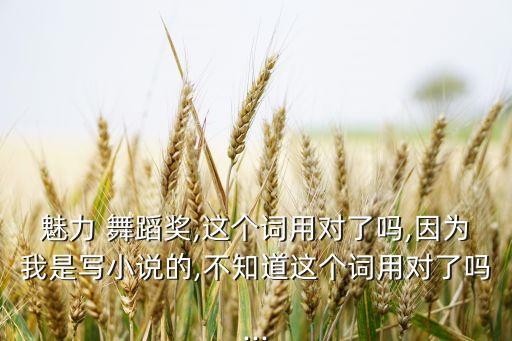 魅力 舞蹈奖,这个词用对了吗,因为我是写小说的,不知道这个词用对了吗...