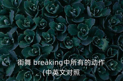 街舞 breaking中所有的动作(中英文对照