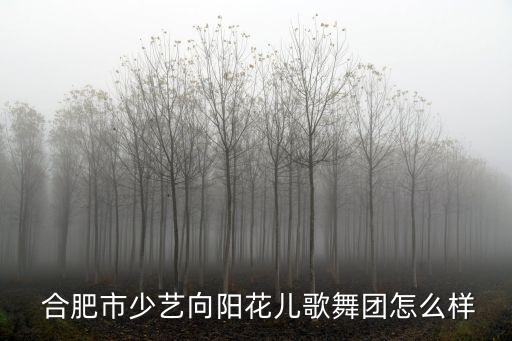  合肥市少艺向阳花儿歌舞团怎么样