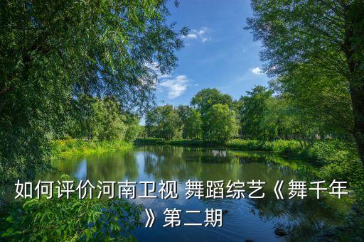 如何评价河南卫视 舞蹈综艺《舞千年》第二期