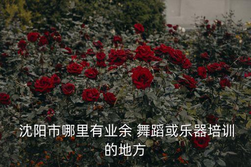 沈阳舞蹈速成,舞蹈速成视频