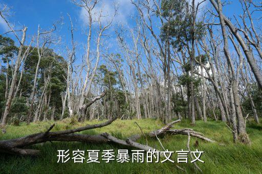 形容夏季暴雨的文言文