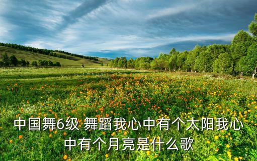 中国舞6级 舞蹈我心中有个太阳我心中有个月亮是什么歌