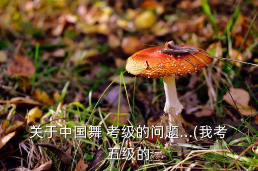 十级舞蹈考级5,考级舞蹈时钟在说话