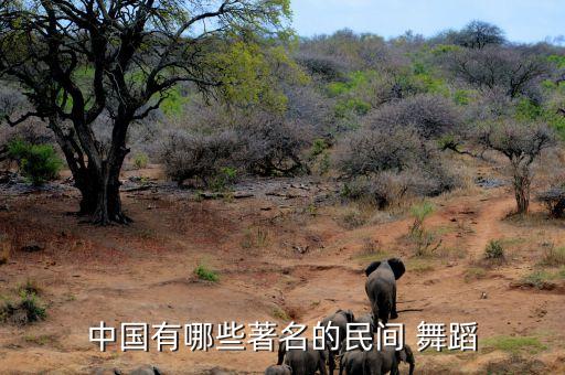 舞蹈草原红,专业舞蹈草原的月亮