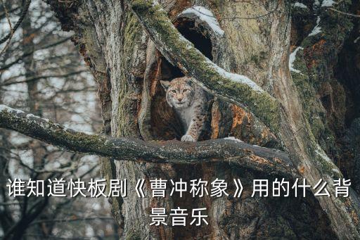 谁知道快板剧《曹冲称象》用的什么背景音乐