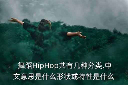  舞蹈HipHop共有几种分类,中文意思是什么形状或特性是什么