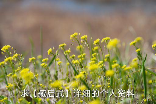 求【臧启武】详细的个人资料