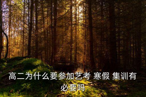 高二为什么要参加艺考 寒假 集训有必要吗
