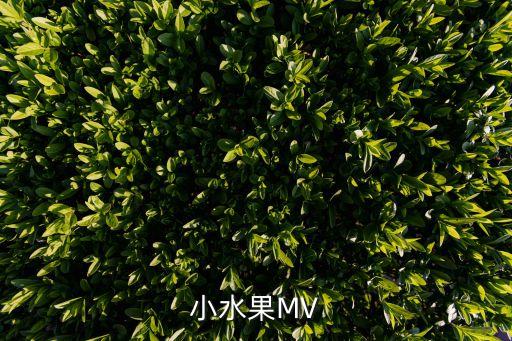 《小苹果》舞蹈教学视频集,葫芦丝《小苹果》教学视频