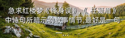急求红楼梦《终身误》,《 枉凝眉》中诗句所暗示的故事情节,最好是一句一...