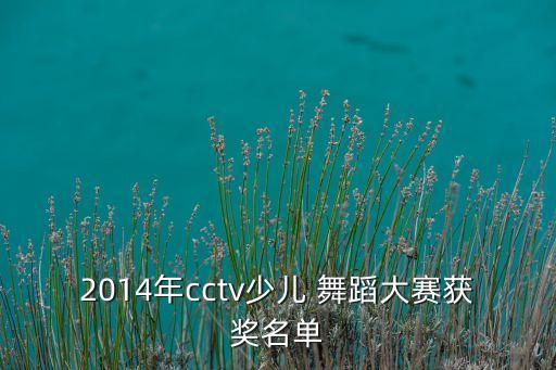 2014年cctv少儿 舞蹈大赛获奖名单