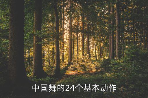 中国舞的24个基本动作