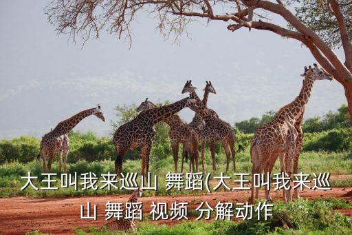 快乐纯拜舞蹈视频分解,快乐00后舞蹈视频幼儿园