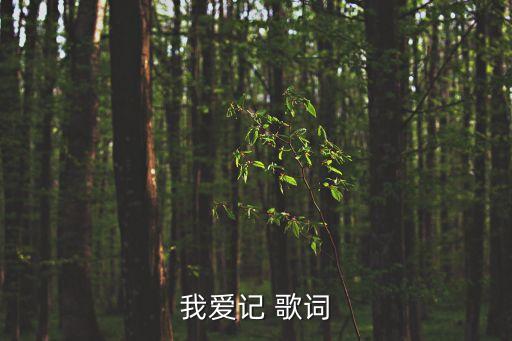 我爱记 歌词