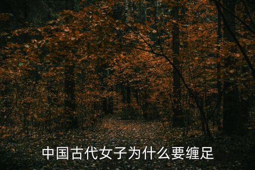 对舞蹈天足的评价