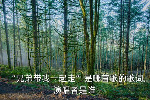 “兄弟带我一起走”是哪首歌的歌词,演唱者是谁