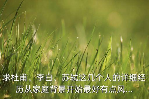 求杜甫、李白、苏轼这几个人的详细经历从家庭背景开始最好有点风...