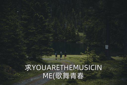 求YOUARETHEMUSICINME(歌舞青春