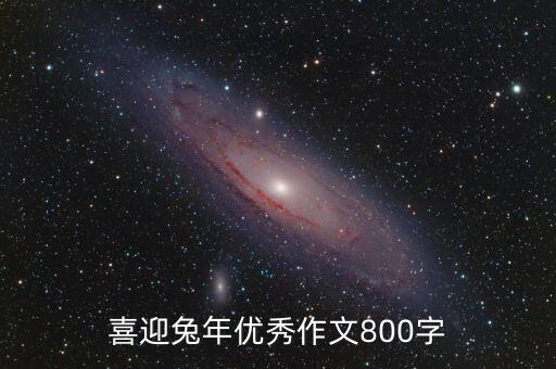 喜迎兔年优秀作文800字