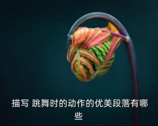 描写舞蹈室跳舞场景,描写跳舞的场景的片段