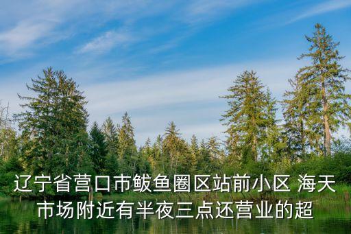 辽宁省营口市鲅鱼圈区站前小区 海天市场附近有半夜三点还营业的超