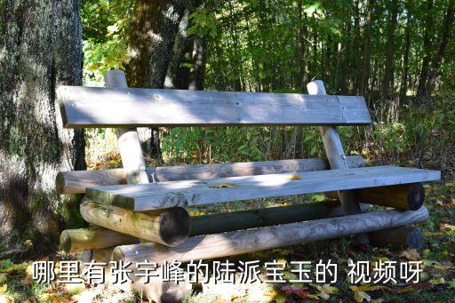 哪里有张宇峰的陆派宝玉的 视频呀