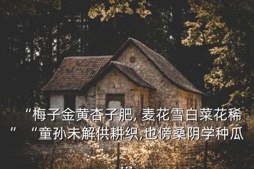 下载舞蹈 麦花,麦麦花APP下载