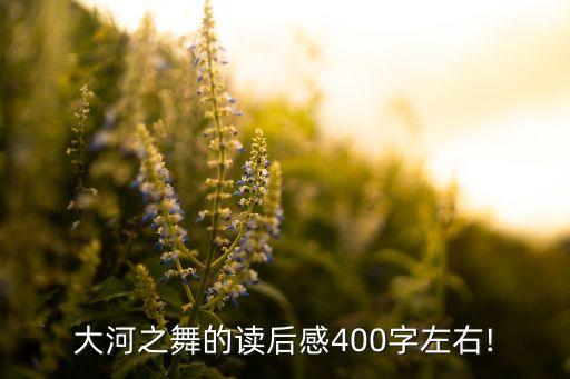 大河之舞的读后感400字左右!