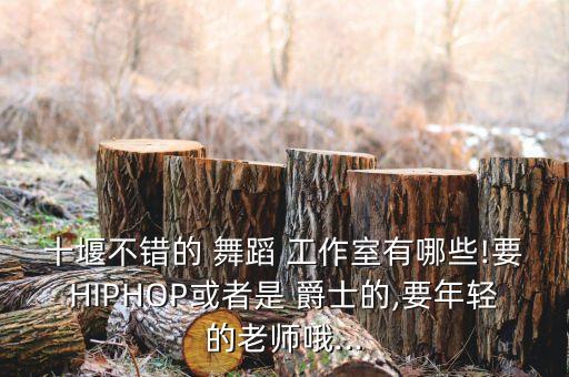 十堰不错的 舞蹈 工作室有哪些!要HIPHOP或者是 爵士的,要年轻的老师哦...