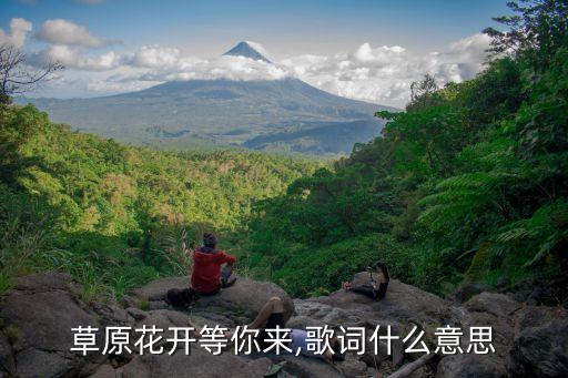 唱开花儿等你来舞蹈完整版
