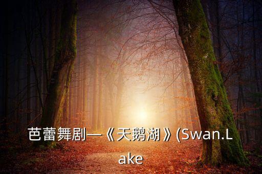 芭蕾舞剧—《天鹅湖》(Swan.Lake