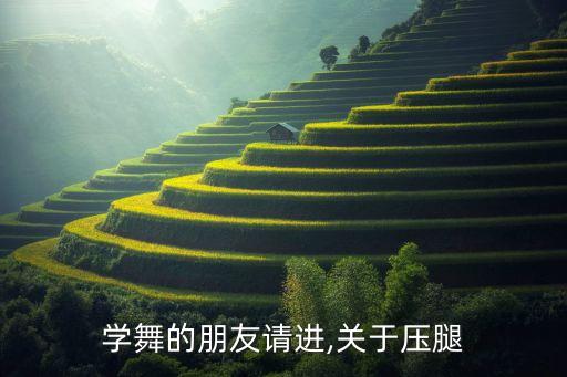 学舞的朋友请进,关于压腿