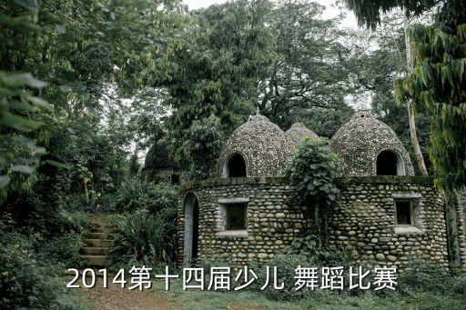 2014第十四届少儿 舞蹈比赛