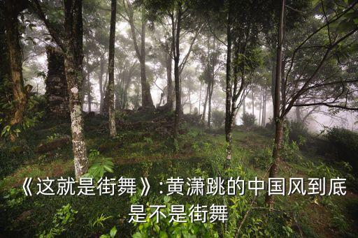 《这就是街舞》:黄潇跳的中国风到底是不是街舞