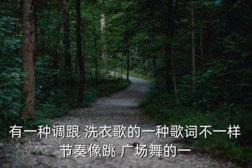 有一种调跟 洗衣歌的一种歌词不一样节奏像跳 广场舞的一