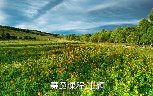 舞蹈主题思想是什么意思,poping舞蹈是什么意思