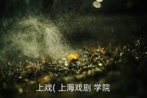 上戏( 上海戏剧 学院