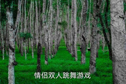 情侣双人跳舞游戏