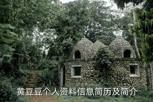 中国好舞蹈黄豆豆评委