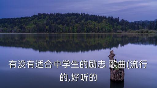 有没有适合中学生的励志 歌曲(流行的,好听的