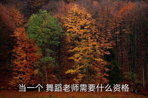当一个 舞蹈老师需要什么资格
