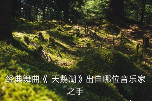 天鹅湖记 舞蹈赏析,现代舞天鹅湖记舞蹈观后感