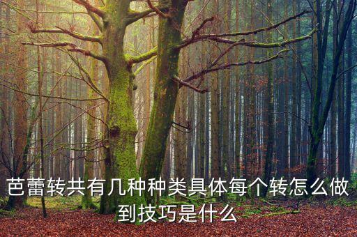 芭蕾转共有几种种类具体每个转怎么做到技巧是什么