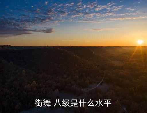街舞 八级是什么水平