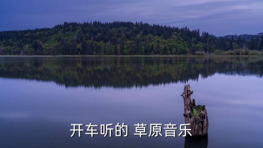 开车听的 草原音乐