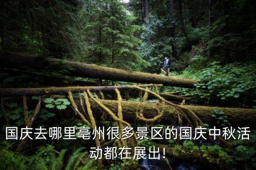国庆去哪里亳州很多景区的国庆中秋活动都在展出!