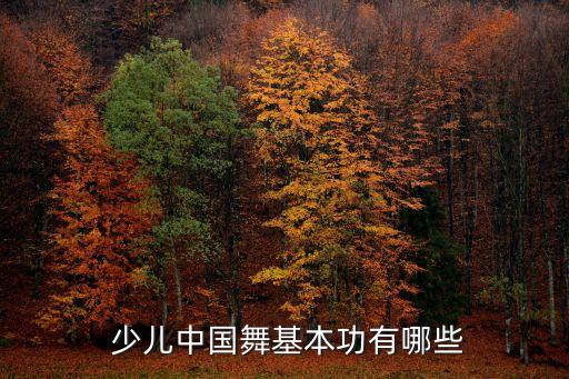  少儿中国舞基本功有哪些