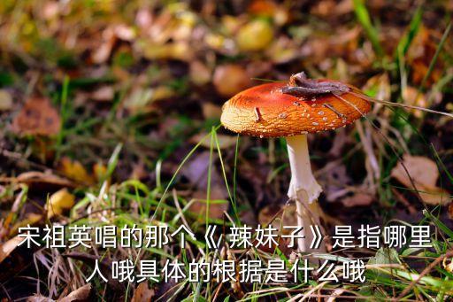 宋祖英唱的那个《 辣妹子》是指哪里人哦具体的根据是什么哦